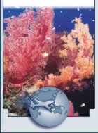 Voyage Fidji - circuit Fidji - forfait Fidji - sjour les Fidji - croisire les Australie