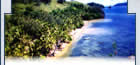 Voyage Fidji - circuit Fidji - forfait Fidji - sjour les Fidji - croisire les Australie